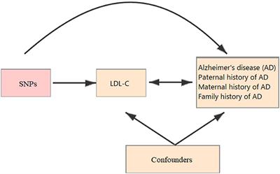 Genetic Predisposition to Low-Density Lipoprotein Cholesterol May Increase Risks of Both Individual and Familial Alzheimer's Disease